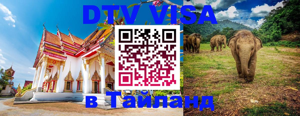 DTV Visa Thailand — прайс и условия, виза без дополнительных документов - Нью-Дели 